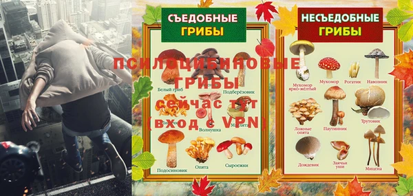 spice Армянск
