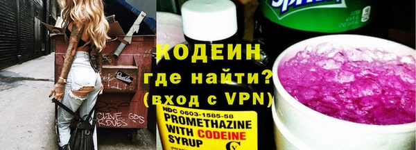 гидра Арсеньев