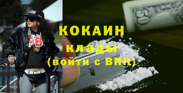 гидра Арсеньев