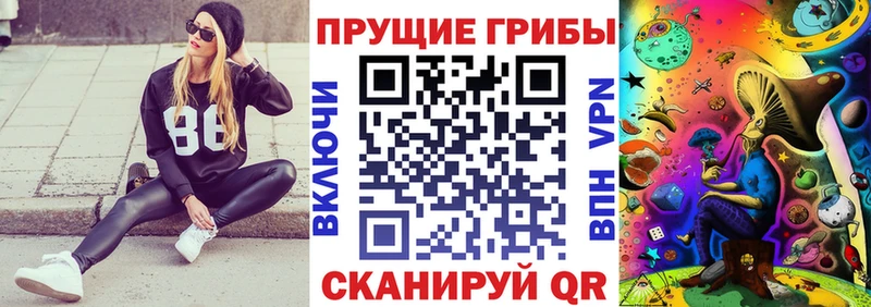 Галлюциногенные грибы MAGIC MUSHROOMS  площадка наркотические препараты  кракен зеркало  Семикаракорск  купить наркотики сайты 